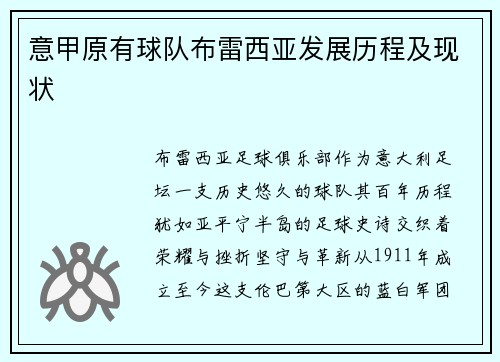 意甲原有球队布雷西亚发展历程及现状