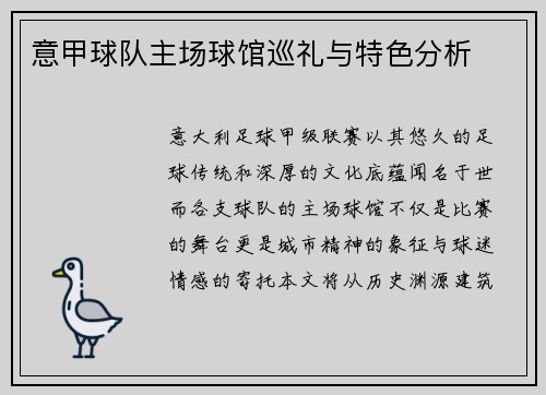 意甲球队主场球馆巡礼与特色分析